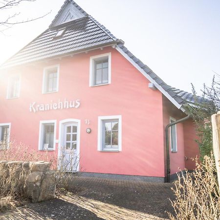 Апартаменти Kranichhus - Kranich 1 Борн Екстер'єр фото